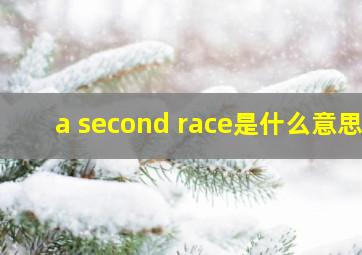 a second race是什么意思